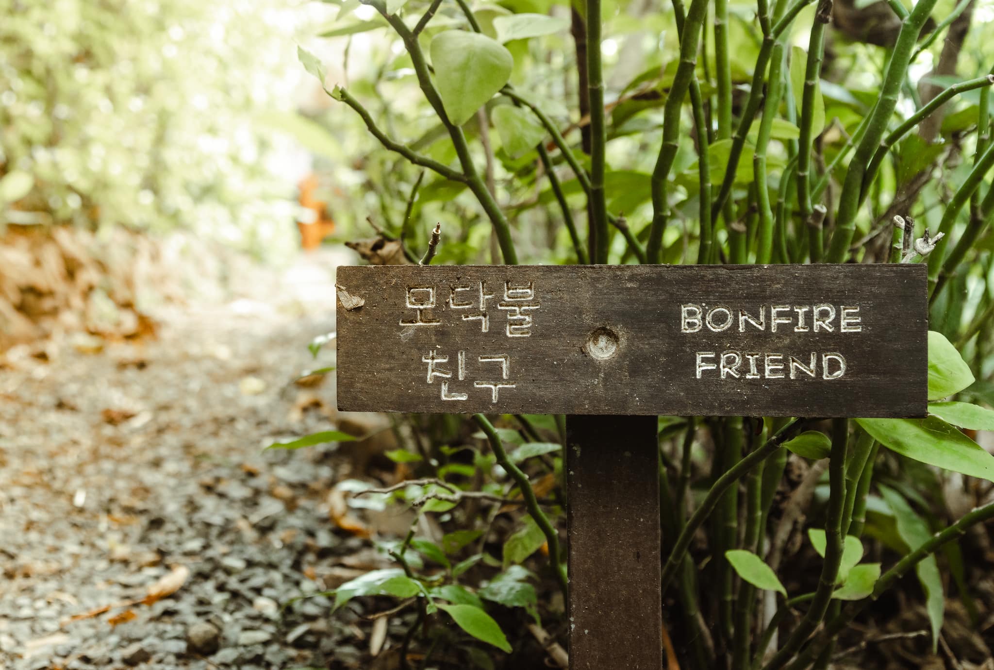 Seoul Stay Glamping — evening ambiance