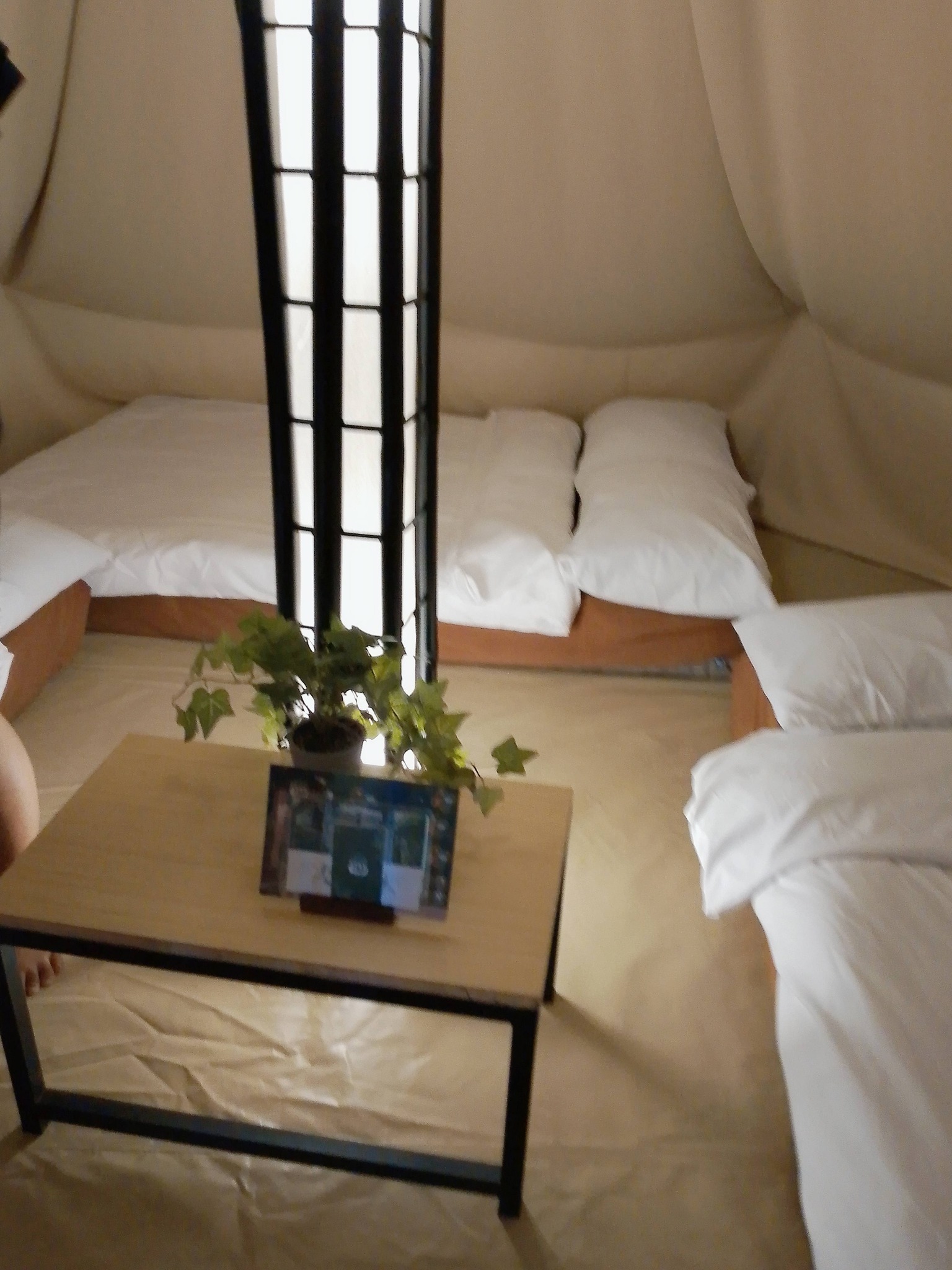 Seoul Suite evening ambiance